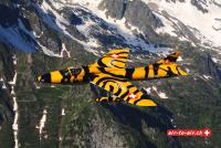 Tiger Hunter Luftbilder air to air 