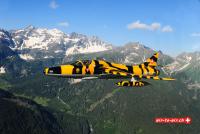Tiger Hunter Luftbilder air to air